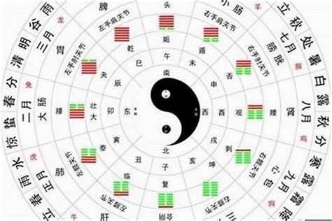 五行偏枯|八字五行偏枯是什么意思 – 几种偏枯命的类型